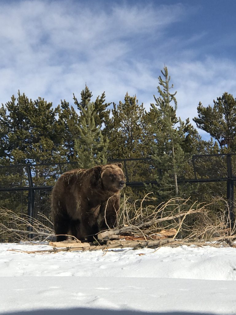 West Yellowstone National Park