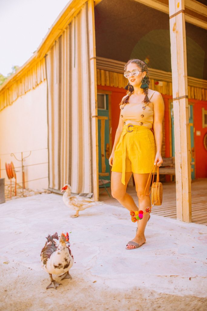 Girl with chickens at kfar hanokdim Israel