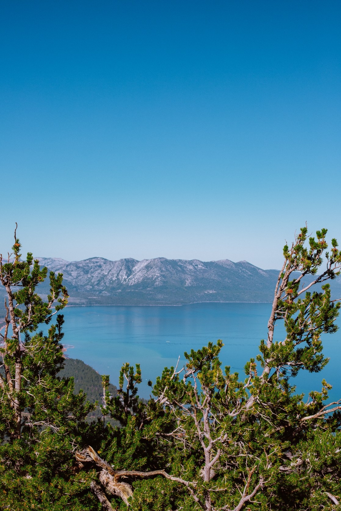 lake-tahoe-summer-travel-guide-14 • Miss Moore Style